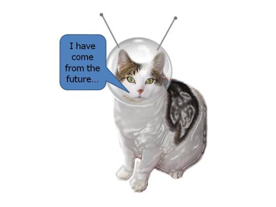 Image result for future cat animal