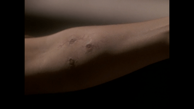 cintamani bite mark.png