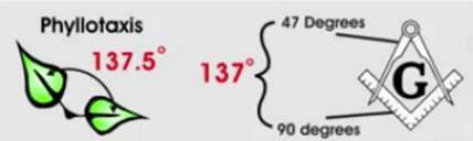 Image result for 137 freemason